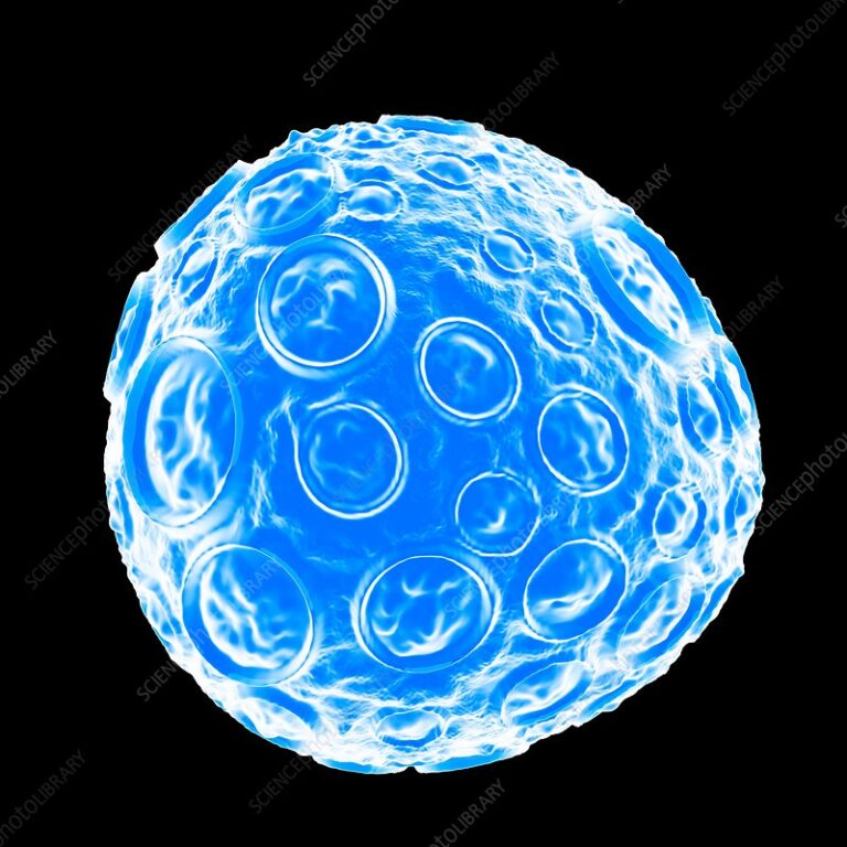 ISA outbreak spreads in Nordland and Troms: containment measures underway