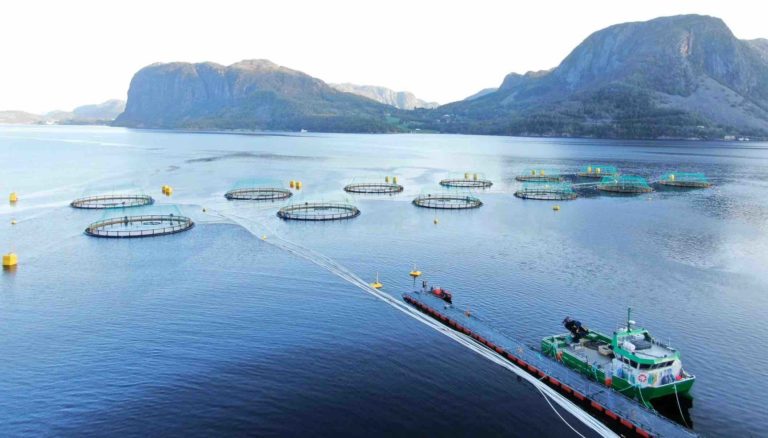 Aquaculture myth-busting: The truth behind fish farming fears