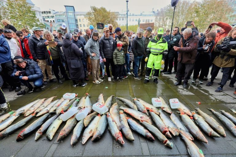 Opinion: Calling a spade a spade – the media need to learn the difference between charities and activist groups