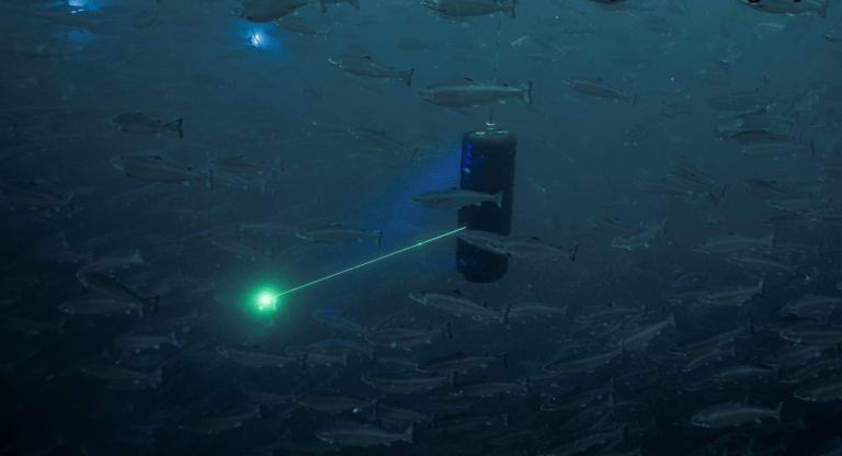 Novo Holdings acquires majority stake in Stingray Marine Solutions