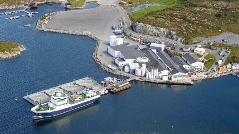 Mowi finds buyer for harvest facility