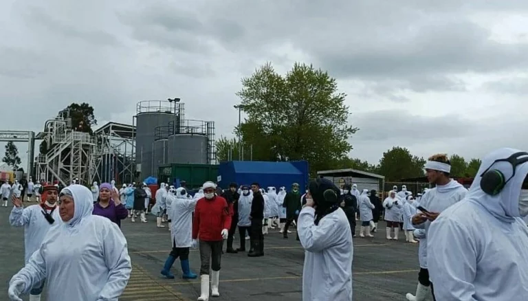 200 evacuated and 8 workers hospitalised following chemical leak