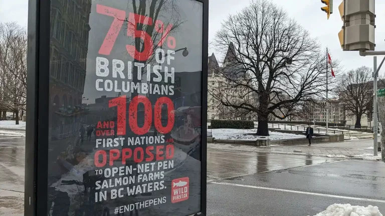 Anti-salmon farming radio ad removed for false advertising