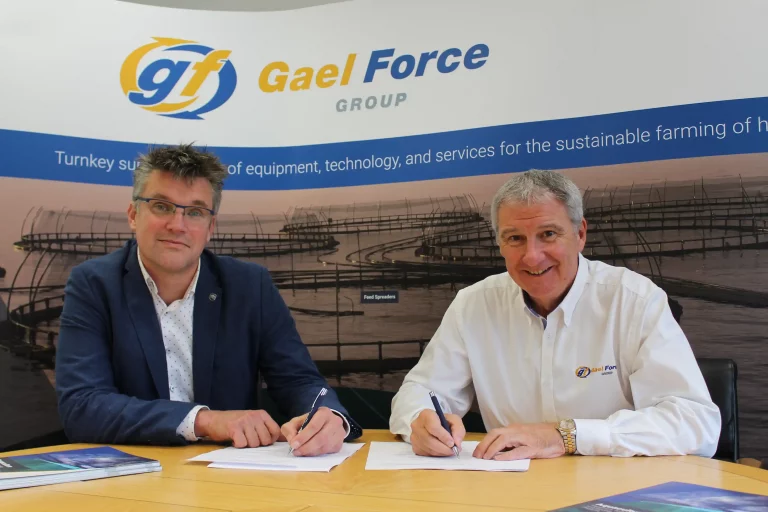 ‘Strong demand’: Gael Force Group strikes deal with Dutch shipyard