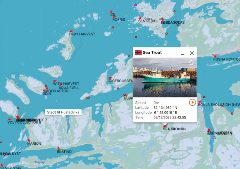 ‘Technical failure’: Well boat capsizes at quay