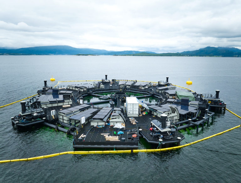 New regulation opens path to keep some production in traffic-light red areas