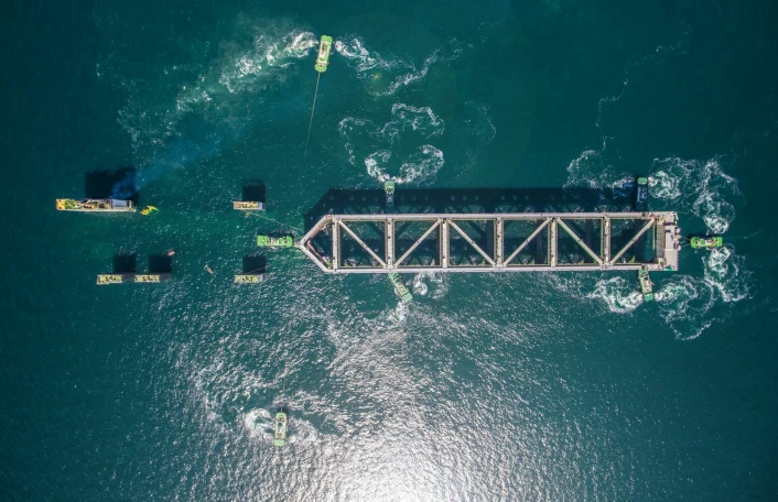 Study reveals scale of destruction in 2025 algae disaster