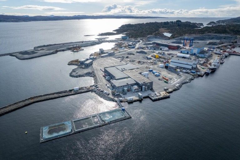 Escape incident reported over Christmas at SalMar backed processor