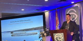 Salmon Tasmania CEO Luke Martin is in St John, Canada attending Global Seafood Alliance’s 2023 Responsible Seafood Summit. Photo: Salmon Tasmania