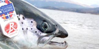 New rules introduced to increase international sales of premium Scottish salmon