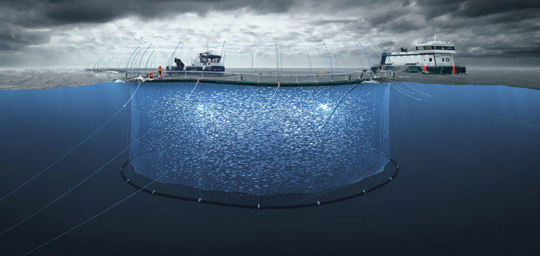 New Zealand King Salmon secures government backing for offshore expansion