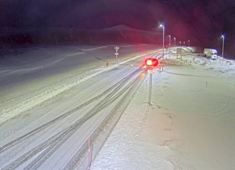 Mother of five killed in head-on collision with truck loaded with salmon