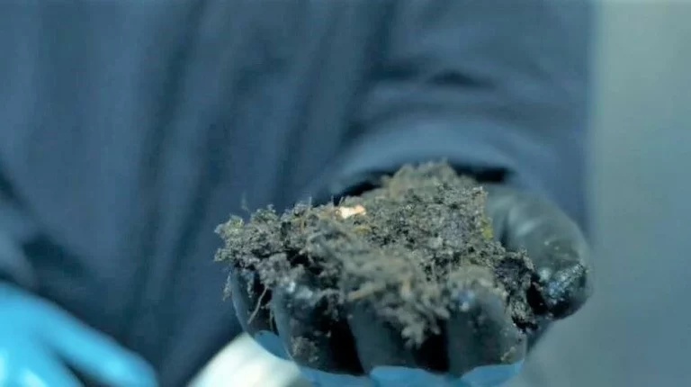 Pelagia snaps up salmon waste handler; targets international expansion