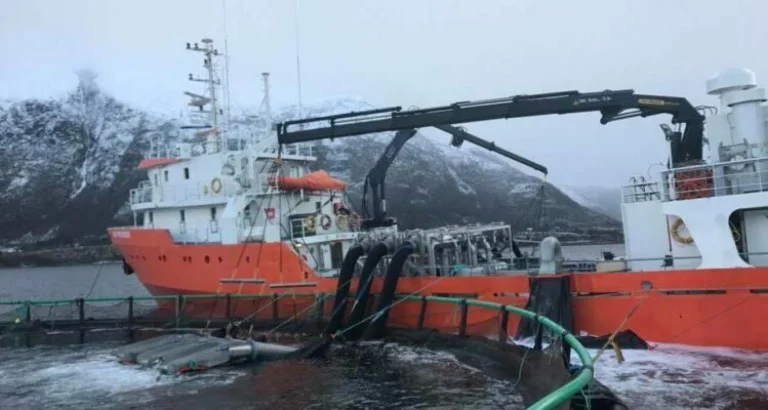 Service provider declared bankrupt after being accused of stealing wages from Ukrainian refugees