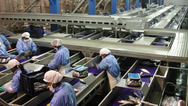 Samherji parent-company buys processing technology specialist