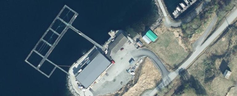 Måsøval to sell harvesting operation to cod farmer following Mowi deal