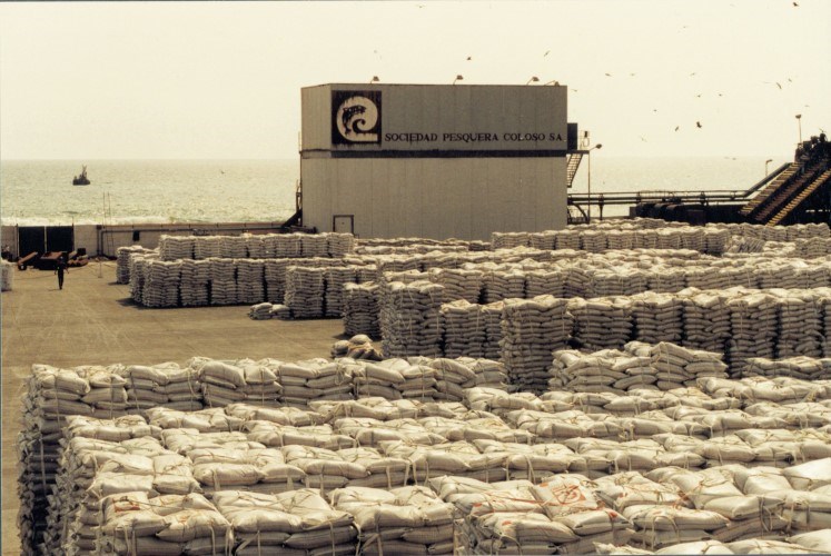 Fewer drugs, lower emissions: Skretting’s 2024 impact report lands