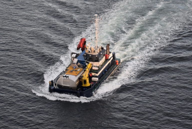 Shipping company reported for alleged animal welfare violations