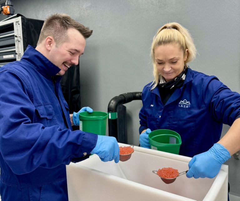 Land-based salmon startup receives 600,000 eggs from Benchmark Genetics