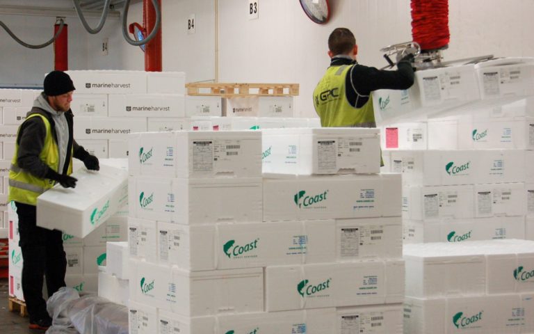 ‘Total collapse’: Glut of ‘production fish’ sees prices tumble across the board