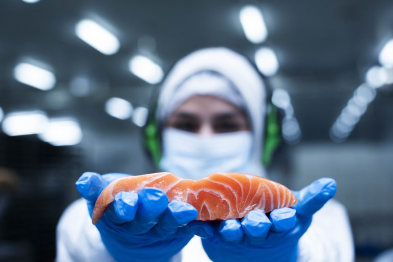 Cooke harvests Chile’s first organic salmon compliant with EU standards
