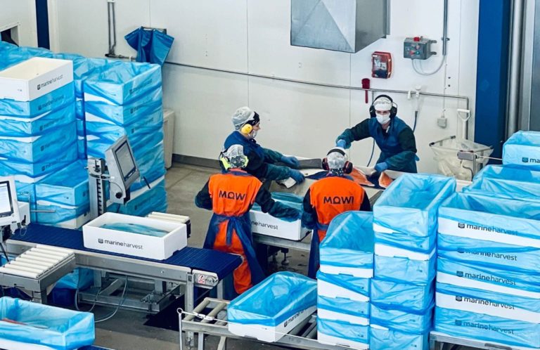 Europe gears up for a fight as the processing industry tires of Norway’s protectionist racket