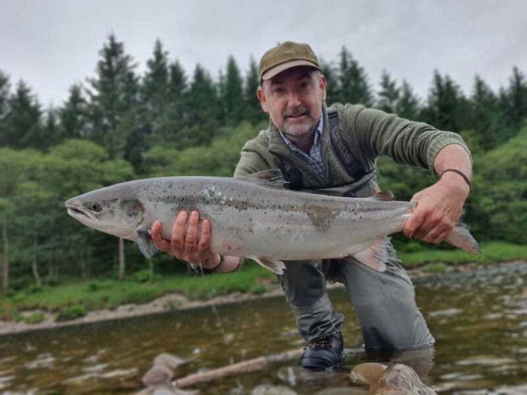 Opinion: How removing fish farms could hasten the decline of wild salmon