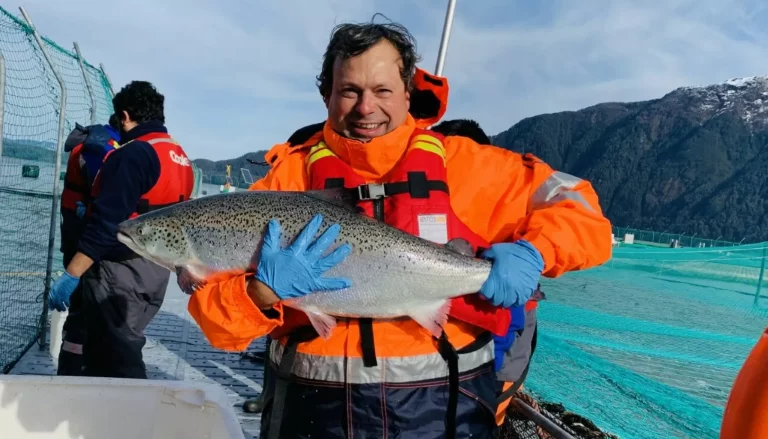 Cooke Chile unveils branding for new EU certified organic ‘Shima’ salmon