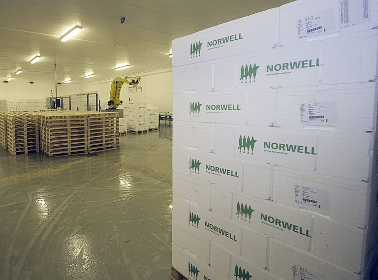 Heavy price drop: “We’re paying over the odds to buy fish and discounting to get rid of it”