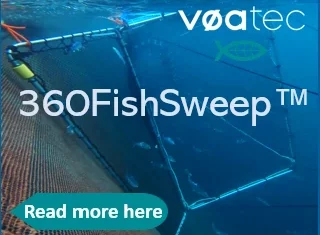 Voatec350x250SalmonBusinesssquashed