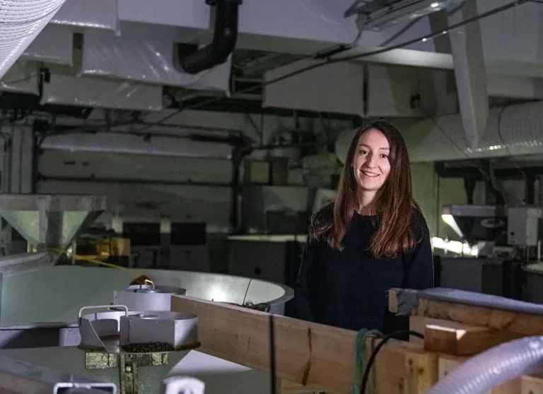 Offshore farming: Study challenges theory that swimming in turbulent conditions improves fish fitness