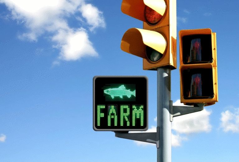 Ministry weighs socio-economic impacts in traffic light decisions