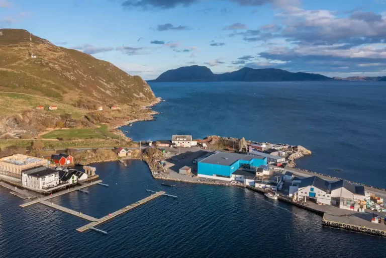 Whitefish processor pivots to salmon