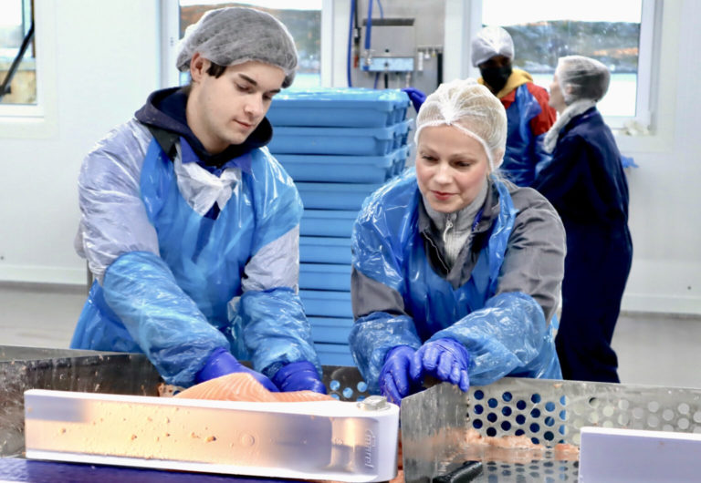 Tight supply sees salmon prices remain high