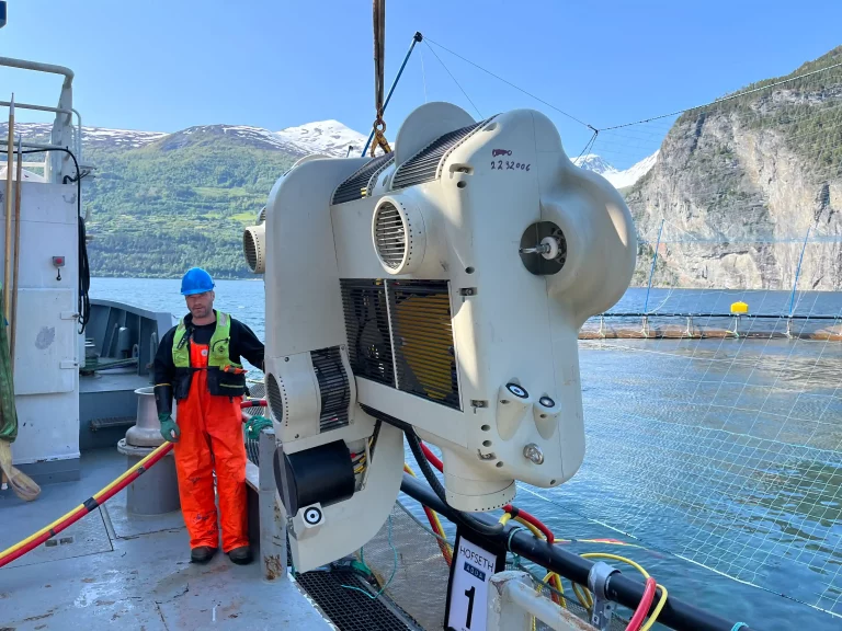 Looking for trouble? The company using AI to help detect damage to nets before escapes happen