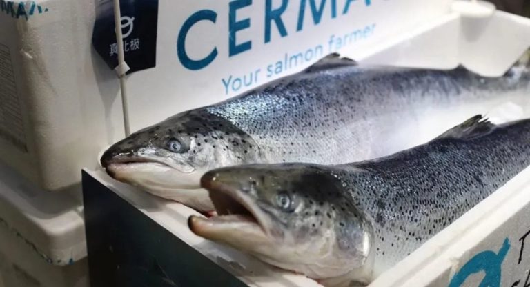 Revealed: The hidden strategy fuelling Cermaq’s billion dollar acquistion