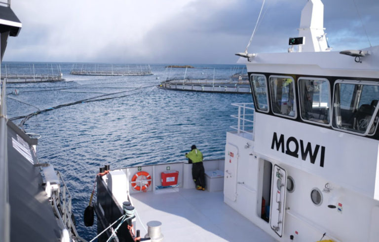 Volume growth fails to lift profit as Mowi’s EBIT slides to €112 million in Q3