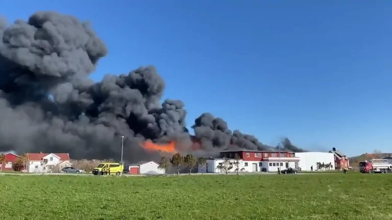 Fire guts warehouse holding 50,000 kilos of salmon