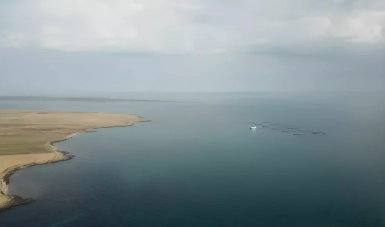 Creative solution brings remote farm online after 40 days feeding lost due to bad weather