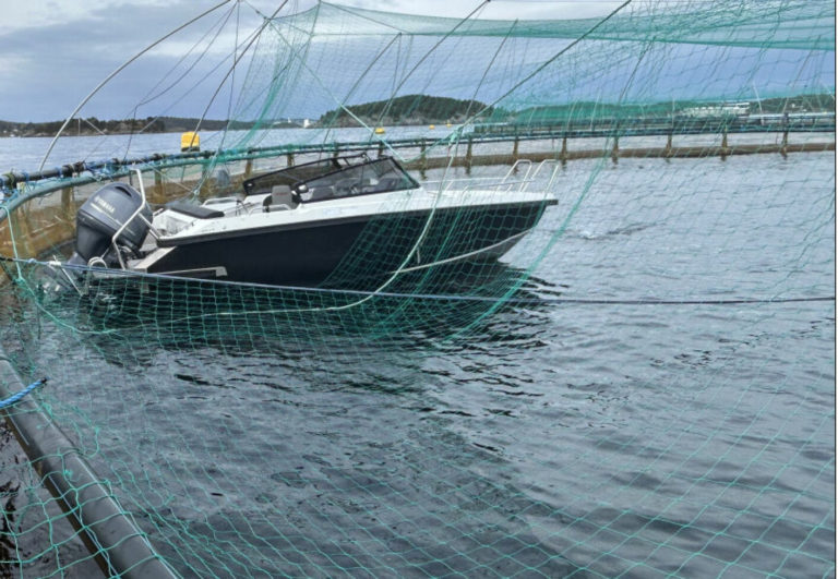 Salmon producer blasts police for not reporting motorboat crash