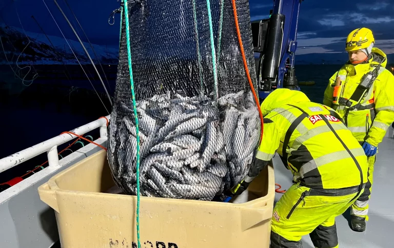 ‘Preventing infection is crucial, to do that, you have to be able to remove sick fish quickly’