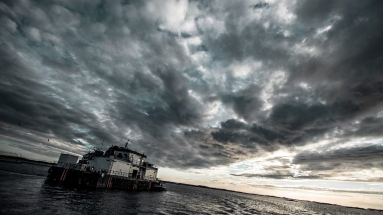 Måsøval revises down 2024 harvest guidance amid Q3 profit warning