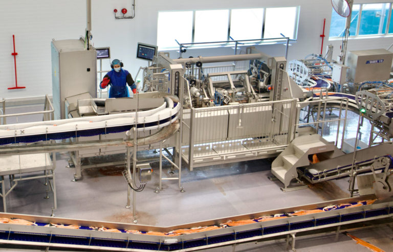 Stable salmon prices amid holiday market slowdown