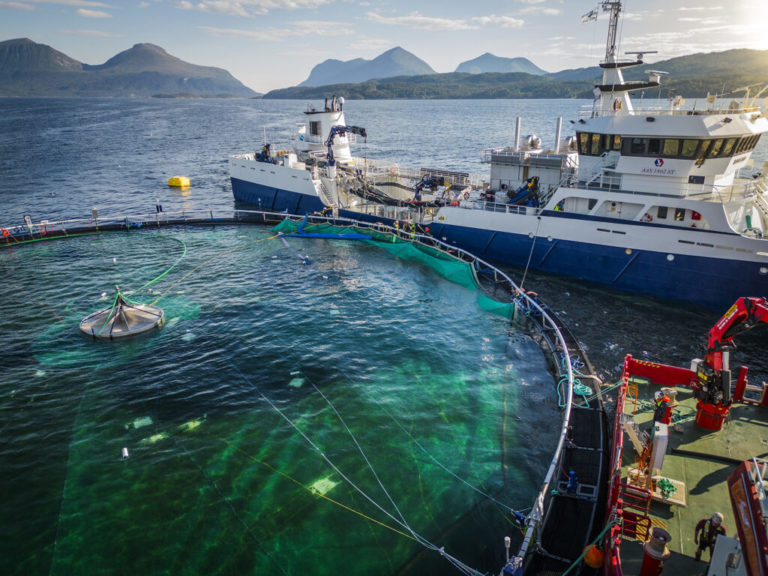 ScaleAQ’s submersible system now fully operational