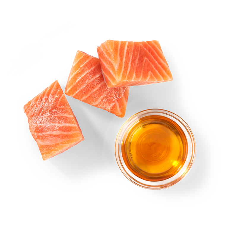 Salmon oil could be key to faster recovery from Covid-19, says study