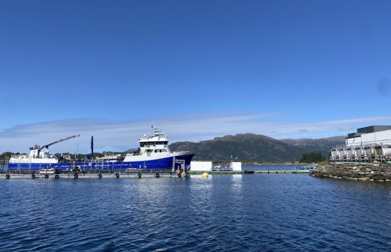 August begins with new low, prices to fall further this week say exporters