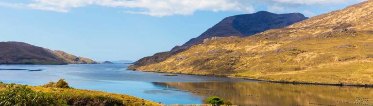 Large numbers of farmed salmon reported to have escaped from Irish farm