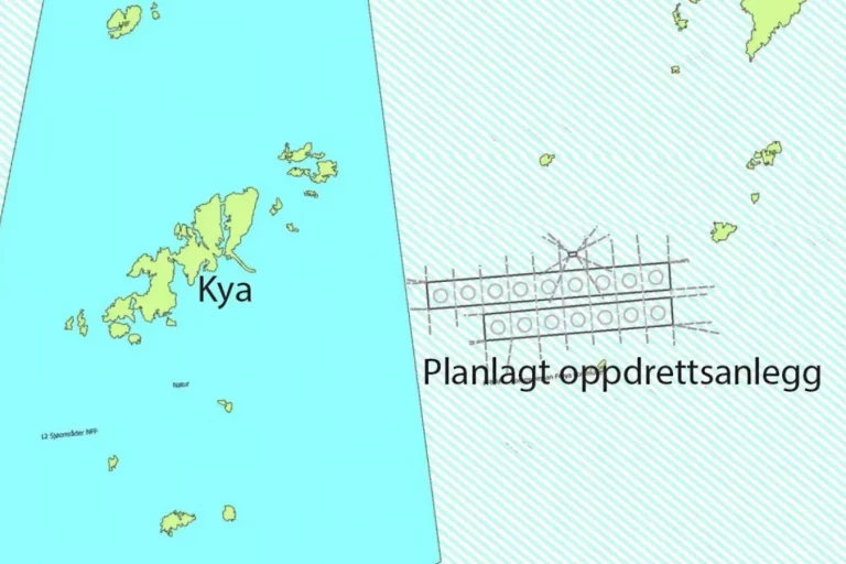 SalMar application for new site rejected over disease concerns