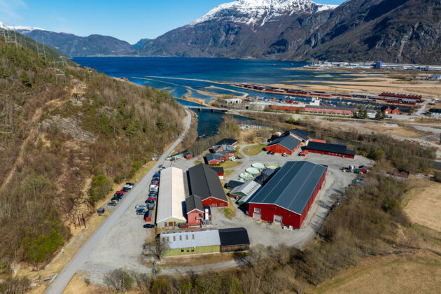 Will bigger smolt mean healthier salmon? Industry experts to weigh in at Nofima event in October