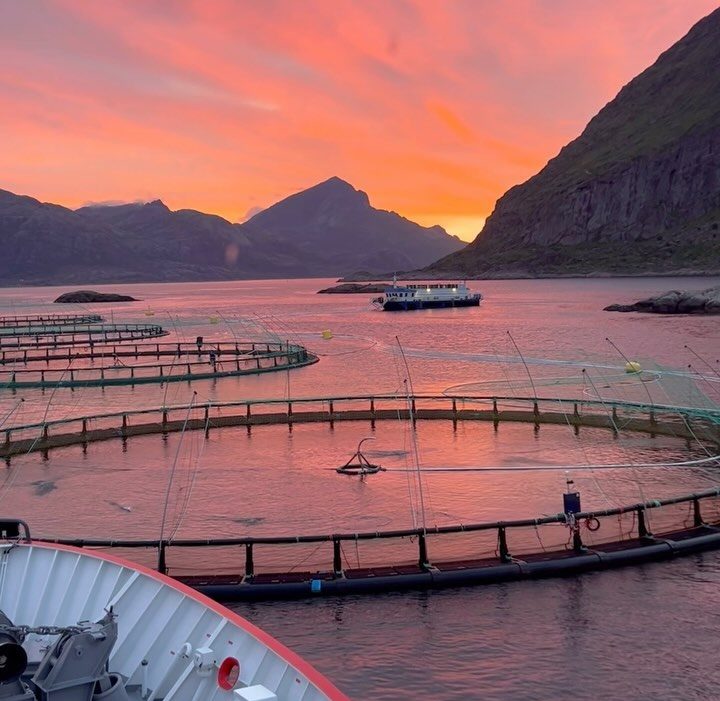 Catastrophe strikes: 10,000 fish found dead overnight